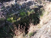 otta Forcato20110213 037